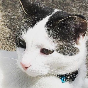 Meet your Posher, Stacy